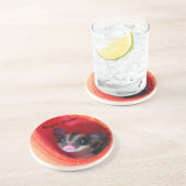 Suikerglijder in Oranje plakband Zandsteen Onderzetter (Zijkant)