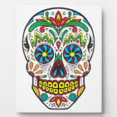 Suikerhuid Fotoplaat (Voorkant)