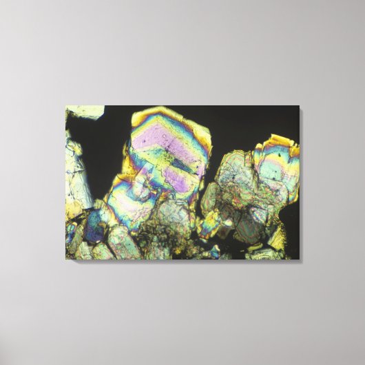 Suikerkristallen bekeken in gepolariseerd licht 2 canvas afdruk (Voorkant)