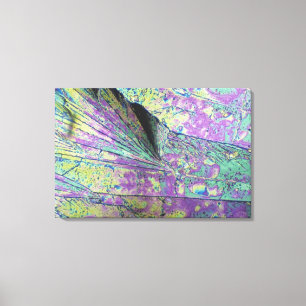 Suikerkristallen bekeken in gepolariseerd licht canvas afdruk