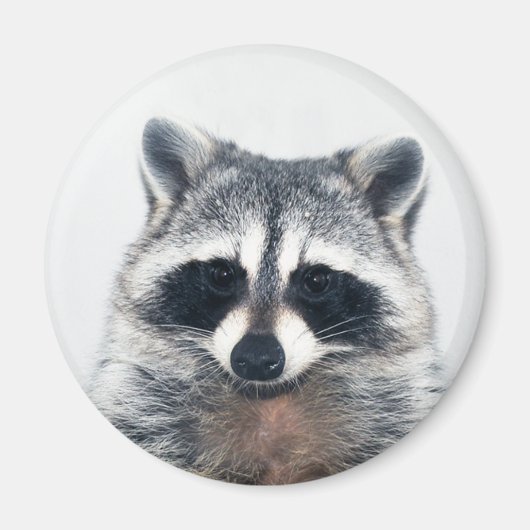 suikermagneet magneet (Voorkant)