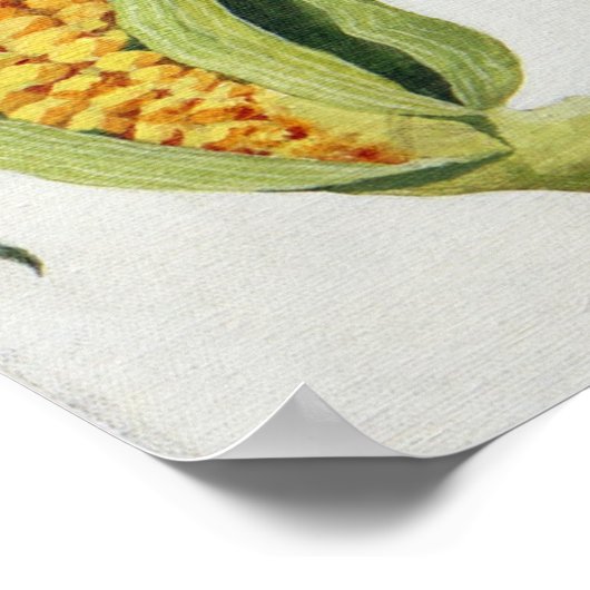 suikermaïs 2013 poster (Hoek)