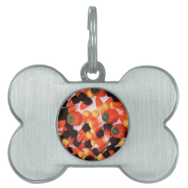 Suikermaïs en pompoenen huisdieren naamplaatje (voorkant)