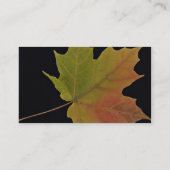 Suikermazelblad inspuiten visitekaartje (Achterkant)