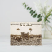 Suikerplantage op Cuba Briefkaart (Staand voorkant)