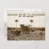 Suikerplantage op Cuba Briefkaart (Voorkant / Achterkant)