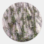 Suikerriet Ronde Sticker (Voorkant)