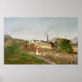 Suikerrietgewassen Poster (Voorkant)