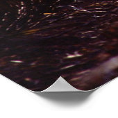 Suikerrietoogst Poster (Hoek)