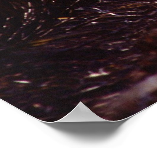 Suikerrietoogst Poster (Hoek)