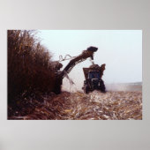 Suikerrietoogst Poster (Voorkant)