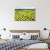 Suikerrietplantages, Guyana Canvas Afdruk (Insitu (Slaapkamer))