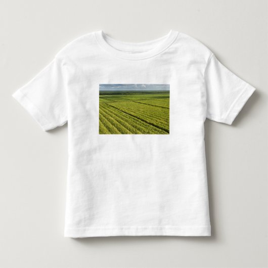 Suikerrietplantages, Guyana Kinder Shirts (Voorkant)