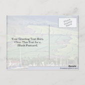 Suikerrietvelden - Lahaina, Maui Briefkaart (Achterkant)