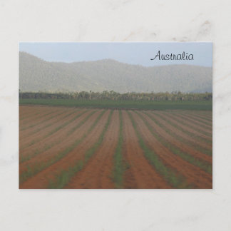Suikerrietvelden — Queensland, Australië Briefkaart