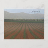 Suikerrietvelden — Queensland, Australië Briefkaart (Voorkant)