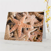 Suikerstaartvis Big Wenskaart Kaart (Gele Bloem)