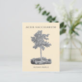 Suikersteekboom met  illustratie briefkaart (Staand voorkant)