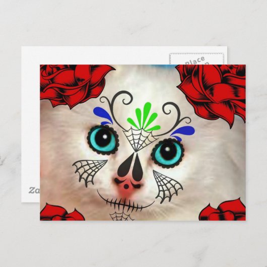 SUIKERVAARDAG VAN HET DODE CAT-KAT BRIEFKAART (Voorkant / Achterkant)