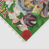 Suikerwten 1908 Catalogus van bloemen voor bloemen Tissuepapier (Detail)