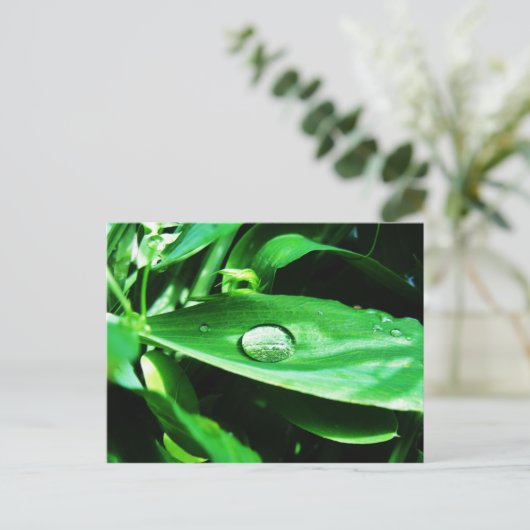 Suikerwten en regen briefkaart (Staand voorkant)