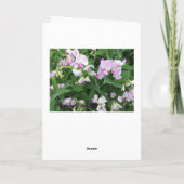 Suikerwten/Thankful Bedankkaart (Achterkant)