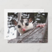 suikerzweefbriefkaart briefkaart (Voorkant / Achterkant)