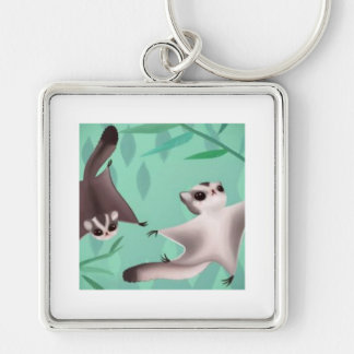 suikerzweefvliegtuigen sleutelhanger