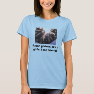 Suikerzweefvliegtuigen zijn een... t-shirt
