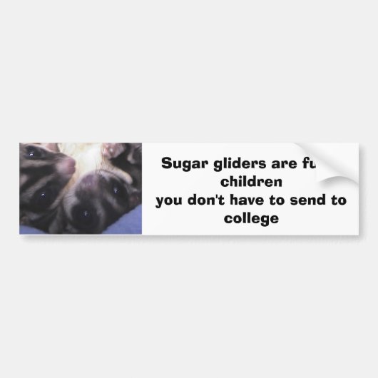 Suikerzweefvliegtuigen zijn verder... bumpersticker (Voorkant)