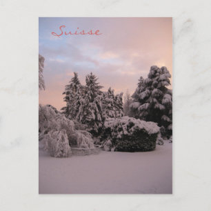 Suisse Briefkaart