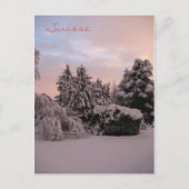 Suisse Briefkaart (Voorkant)