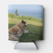 Suka Enjoying Cape George Blikjeskoeler (Achterkant)