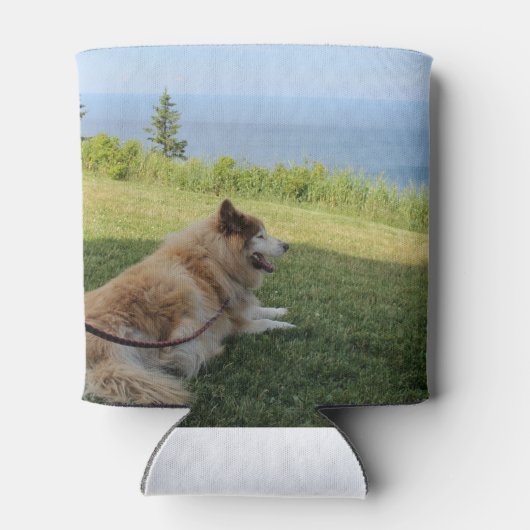 Suka Enjoying Cape George Blikjeskoeler (Achterkant)