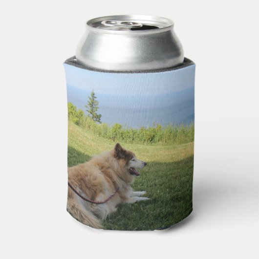 Suka Enjoying Cape George Blikjeskoeler (Blikje Achterkant)