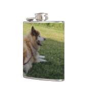 Suka Enjoying Cape George Heupfles (Links)