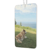 Suka Enjoying Cape George Luchtverfrisser (Links)