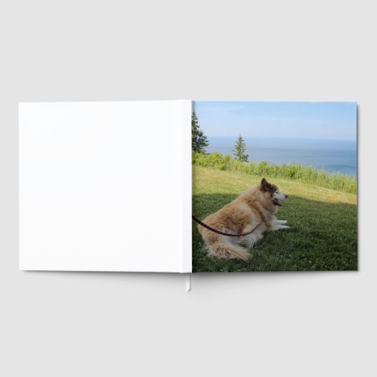 Suka geniet van Cape George Gastenboek (Volledig)