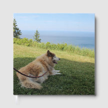 Suka geniet van Cape George