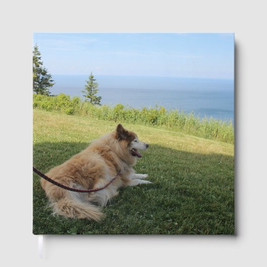 Suka geniet van Cape George Gastenboek (Voorkant)