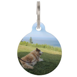 Suka geniet van Cape George huisdierentag Huisdierpenning