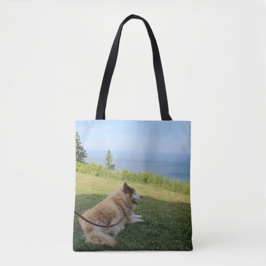 Suka geniet van Cape George Tote Bag (Voorkant)