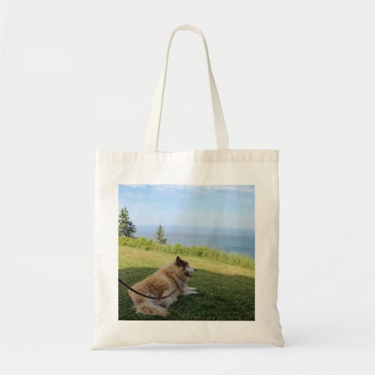 Suka geniet van Cape George Tote Bag (Voorkant)