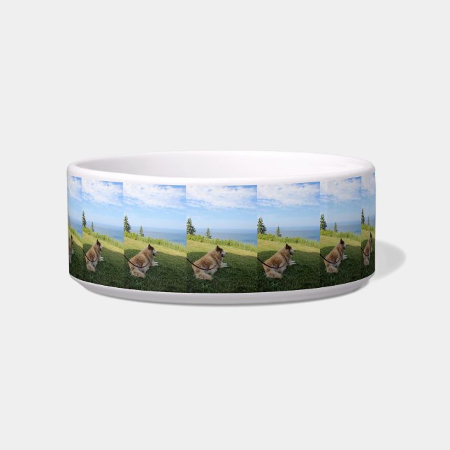 Suka Genieten van Cape George Pet Bowl Voerbakje (Voorkant)