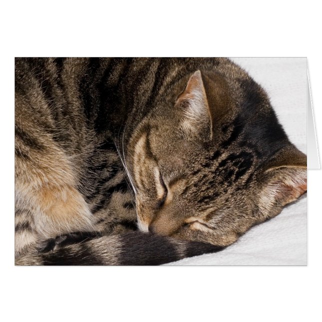 Suki (Voorkant Horizontaal)