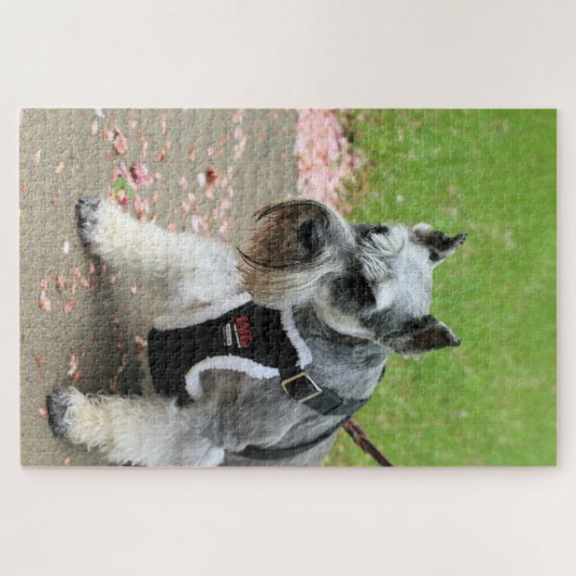 Suki Legpuzzel (Horizontaal)