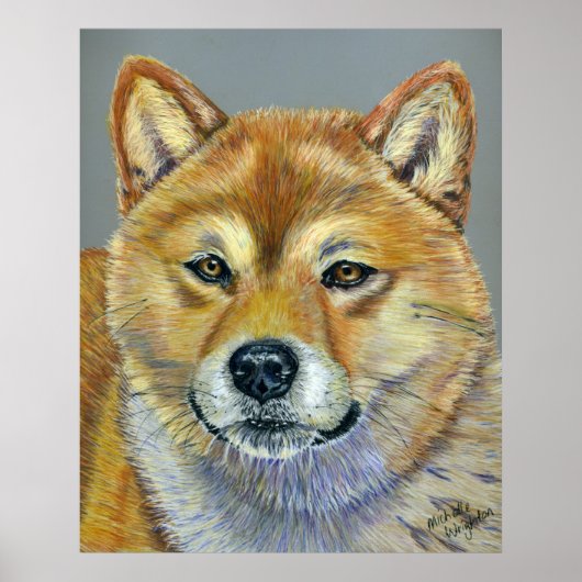 Suki - Shiba Inu Poster (Voorkant)
