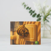 Suki's Sunny Nap Feestdagenkaart (Staand voorkant)