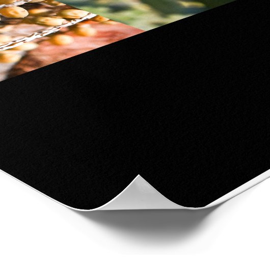 Sukkot Poster (Hoek)