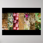 Sukkot Poster (Voorkant)